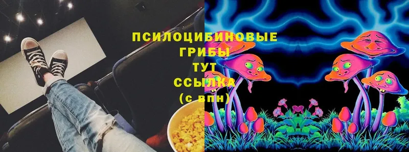 Псилоцибиновые грибы MAGIC MUSHROOMS  кракен ТОР  Копейск 